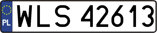 WLS42613