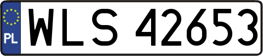 WLS42653