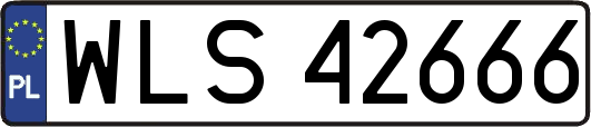 WLS42666