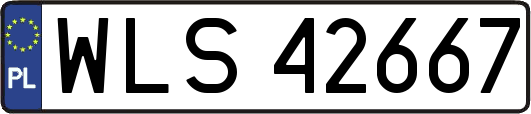 WLS42667