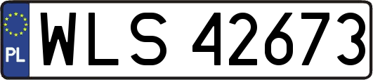 WLS42673