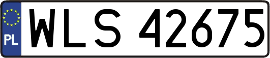 WLS42675
