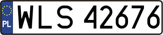 WLS42676