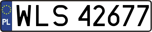 WLS42677