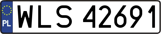 WLS42691