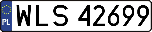 WLS42699