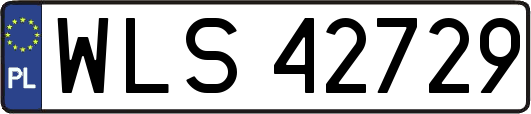 WLS42729