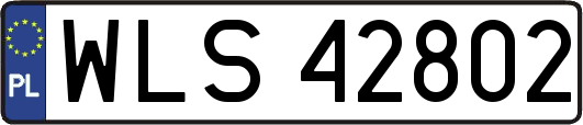 WLS42802
