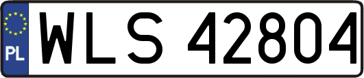 WLS42804