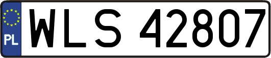WLS42807