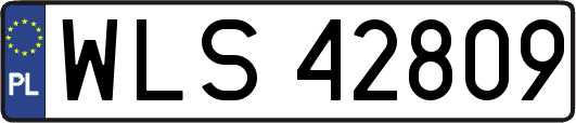 WLS42809