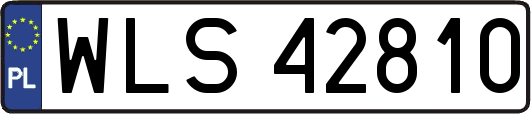 WLS42810