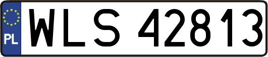 WLS42813