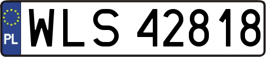 WLS42818