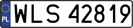 WLS42819