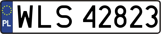 WLS42823