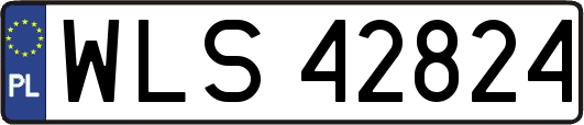 WLS42824