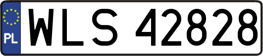 WLS42828