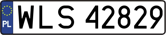 WLS42829