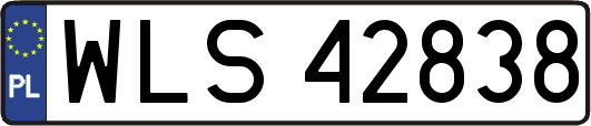 WLS42838