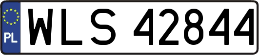 WLS42844