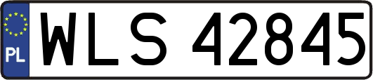 WLS42845