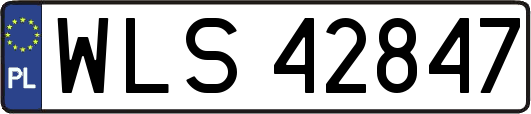 WLS42847