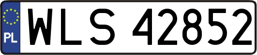 WLS42852