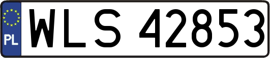 WLS42853