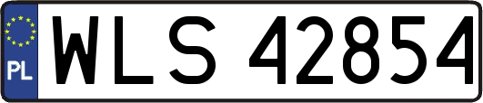WLS42854