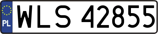 WLS42855