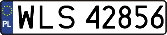 WLS42856