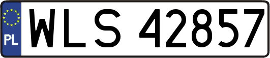 WLS42857