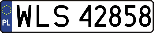 WLS42858