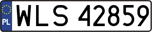 WLS42859