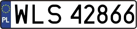 WLS42866