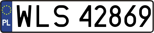 WLS42869