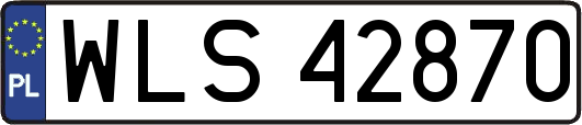 WLS42870