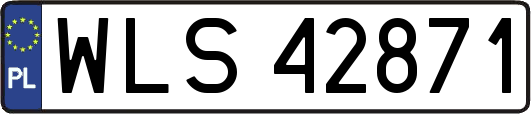 WLS42871