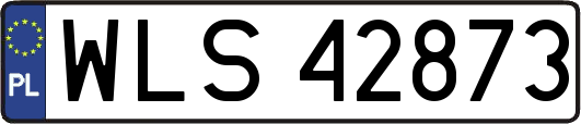 WLS42873