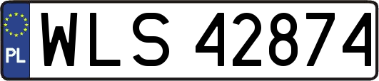 WLS42874