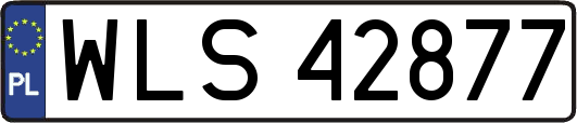 WLS42877