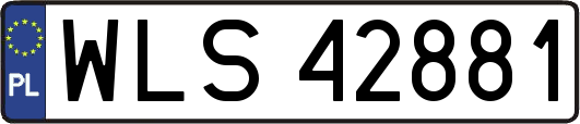 WLS42881