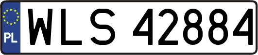 WLS42884