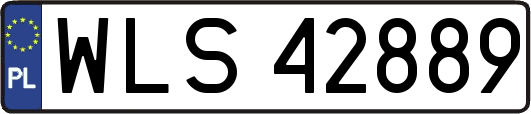 WLS42889