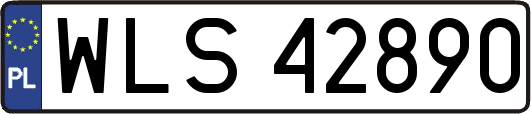 WLS42890