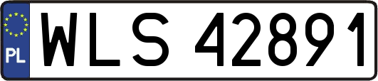 WLS42891