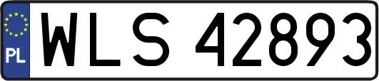 WLS42893