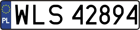 WLS42894