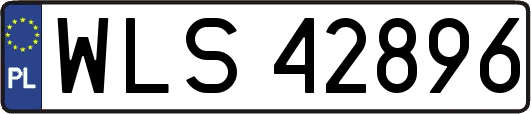 WLS42896